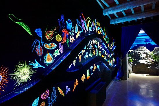 Museo di Storia Naturale della Maremma